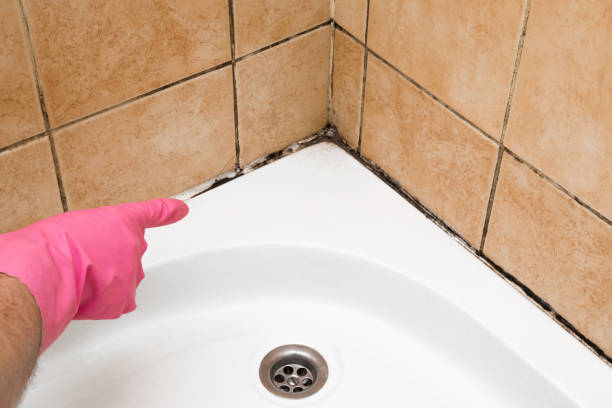 Best Toxic Mold Removal  in Samsula Spruce Creek, FL